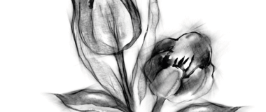 Die Abbildung zeigt die Zeichnung einer Blume in den Farben schwarz und weiß als Symbolbild für Trauer.